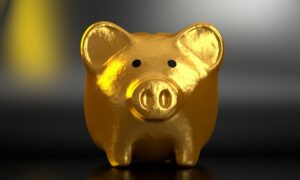 Nachhaltiges Investieren: Geld Mit Gewissen Anlegen